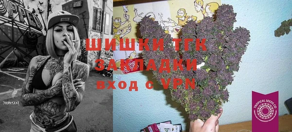 дживик Алексин