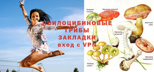 дживик Алексин