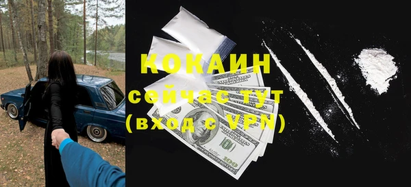 дживик Алексин
