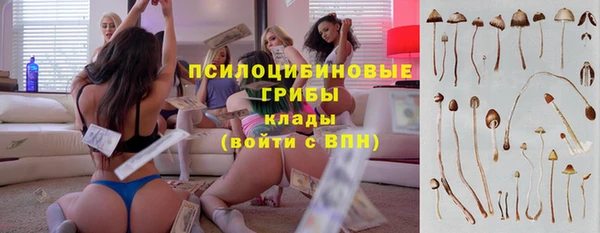 хмурый Гусь-Хрустальный
