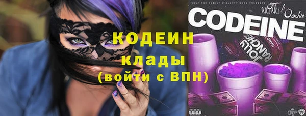 прущая мука Дмитриев
