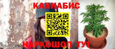 каннабис Камышлов