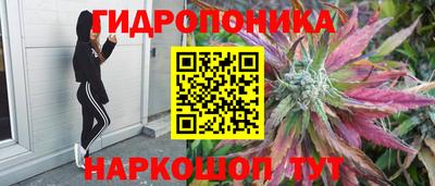 a pvp Канаш
