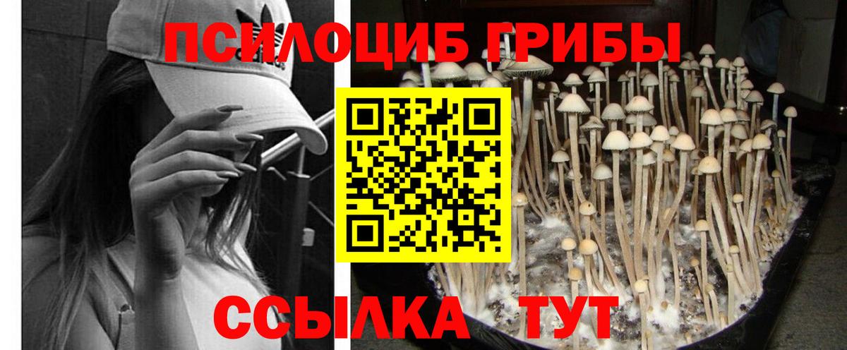 Галлюциногенные грибы Cubensis  Вход с VPN  Галлюциногенные грибы прущие грибы  Лобня 