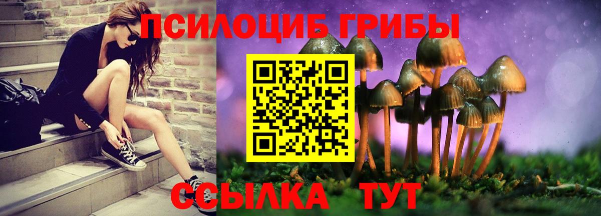 Псилоцибиновые грибы ЛСД Лобня